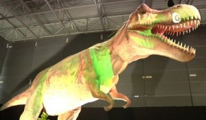 Reportage - Sur les traces des dinosaures !