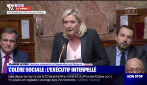Marine Le Pen: "Monsieur le Premier ministre, allez-vous renoncer à la réforme des retraites ?"