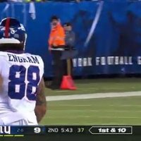 Un chat interrompt un match de NFL