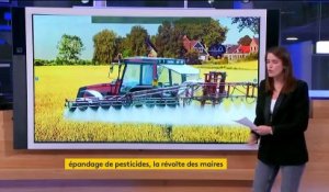 Pesticides : leur utilisation déchire la France