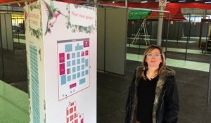 Lolita Vaillant, chargée de projets à Micropolis Besançon, explique le prochain salon du week-end