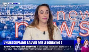 L'huile de palme sauvée par le lobbying ? - 15/11