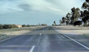 L'autopilot Tesla évite des canards qui traversent la route