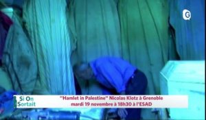 18 NOVEMBRE 2019 - Nicolas Klotz "Hamlet in Palestine", Réserve naturelle des hauts de Chartreuse...,  La noix de Grenoble une belle histoire