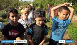 Alpes-Maritimes : le succès d'une cantine scolaire 100% bio