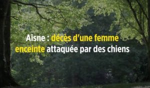 Aisne : décès d'une femme enceinte attaquée par des chiens