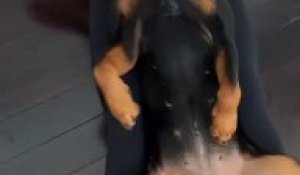 Massage : la tête de ce chien qui kiffe à fond !