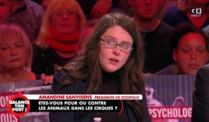 Amandine Sanvisens : "Je condamne tout acte de violence"