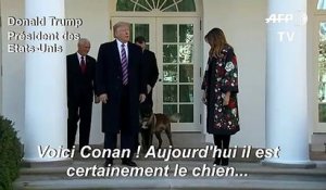 Trump décore Conan, héros du raid contre Baghdadi