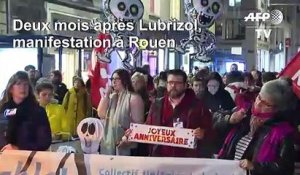 Lubrizol: deux mois après l'incendie, une marche pour la "transparence" à Rouen