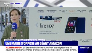 Hélène Burgat, la maire de Mondeville (Calvados), s'oppose à l'installation d'Amazon sur son territoire