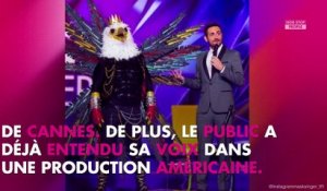 Mask Singer : qui se cache derrière le panda, l'abeille... Le point sur les indices