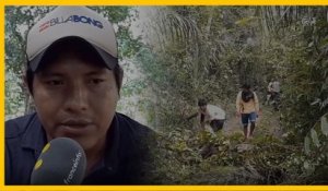 Amazonie brésilienne : les "gardiens de la forêt"