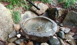 Calm Collective - Water Fountain
