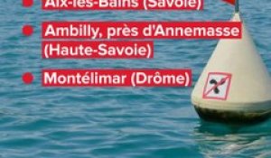 Le code du permis bateau : c'est uniquement possible à Lyon