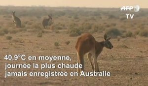 Record de chaleur en Australie: 40,9°C mardi, journée la plus chaude jamais mesurée