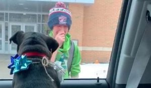Une maman surprend son fils à la sortie de l'école avec leur chien, perdu depuis des semaines