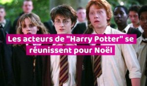 Les acteurs d"Harry Potter" se réunissent pour Noël