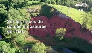 Au Brésil, un sanctuaire des dinosaures pré-jurassiques