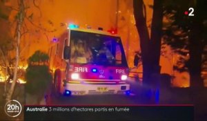 Australie : 3 millions d'hectares de forêt partis en fumée