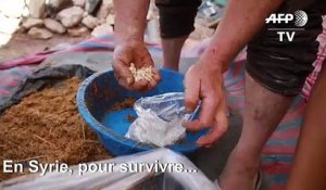 Un déplacé syrien cultive des champignons pour survivre