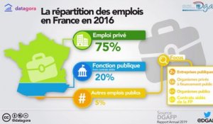 Rapport annuel sur l'état de la fonction publique - édition 2019 : Infographies