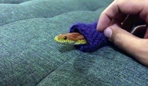 Son petit serpent a un pyjama... Adorable