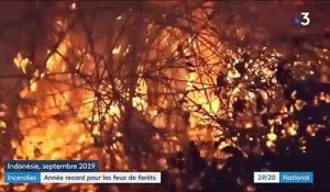 Incendies : une année record pour les feux de forêts