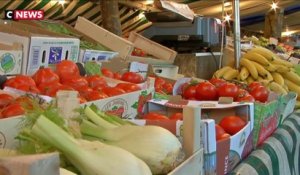 Les tomates bio ne pourront plus être vendues en hiver