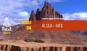 Dakar 2020 - Étape 4 / Stage 4 - Landscape of the day