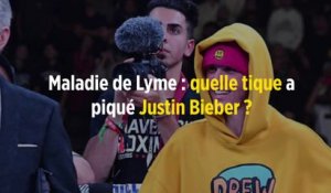 Maladie de Lyme : quelle tique a piqué Justin Bieber ?