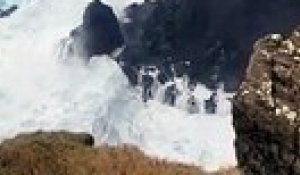 Trombe marine près d'une falaise (Îles Féroé)