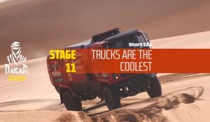 Dakar 2020 - Étape 11 / Stage 11 - Cool truck