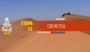 Dakar 2020 - Etapa 11 (Shubaytah / Haradh) - Resumen Coche/SSV