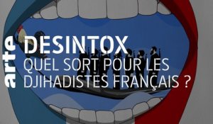 Quel sort pour les djihadistes français ? | 21/01/2020 | Désintox | ARTE
