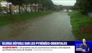 La tempête Gloria déferle sur les Pyrénées-Orientales