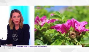 Le Grand Talk - 23/01/2020 Partie 3 - Tourisme 2020 : ce qui plait aux visiteurs