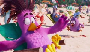 Angry Birds : Copains comme cochons - Vidéo à la Demande d'Orange