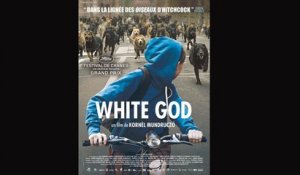 WHITE GOD (2014) Streaming BluRay-Light (VF)