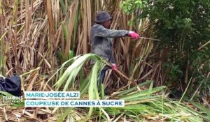 La Réunion : Coupeuse de canne à sucre