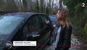 Indre-et-Loire : des dizaines de milliers d'étourneaux vivent dans son jardin