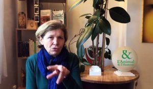 Interview 2 de Nathalie Torjamn : La complicité des vautours