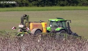 Pesticide : Bayer et BASF condamnés à verser 244 millions d'euros à un agriculteur américain