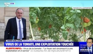 Virus de la tomate: le ministre de l'Agriculture Didier Guillaume assure qu'"aucune tomate ne sort" de l'exploitation touchée