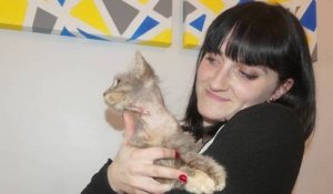 Six ans après sa disparition, la chatte Poupoune retrouvée à 840km de chez elle