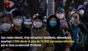 Coronavirus : pourquoi il n'y a aucun cas officiel en Corée du Nord