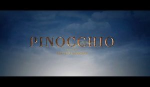 Pinocchio (2019) (Dutch French Sub) XviD AC3