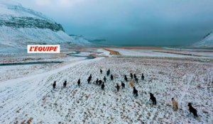 Des Français au coeur de la glace islandaise - Adrénaline - Escalade