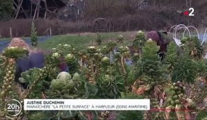 Agriculture : le retour à la terre