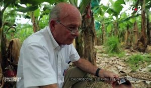 Chlordécone : les Antilles empoisonnées